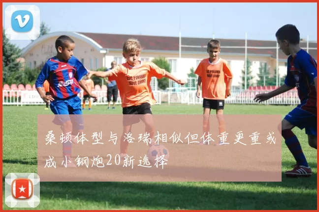 桑顿体型与洛瑞相似但体重更重或成小钢炮20新选择