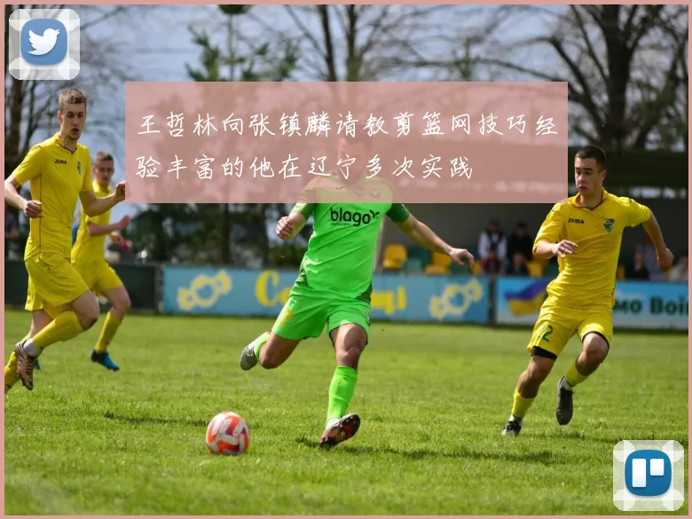 王哲林向张镇麟请教剪篮网技巧经验丰富的他在辽宁多次实践